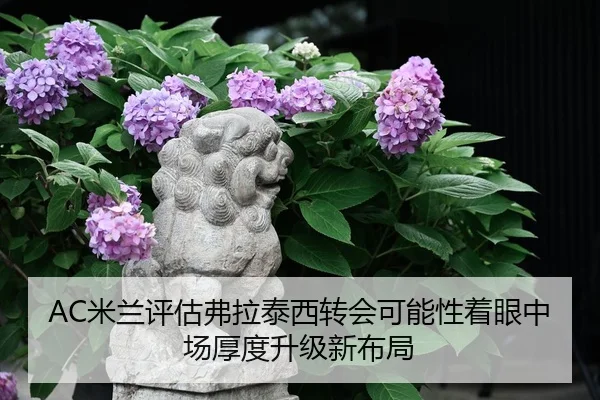 AC米兰评估弗拉泰西转会可能性着眼中场厚度升级新布局